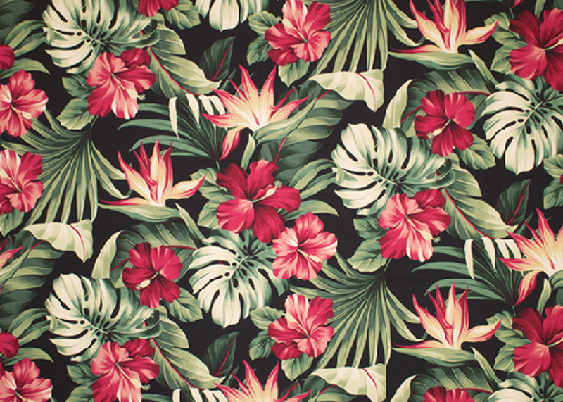 sland vintage floral print