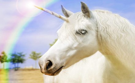 how to be a unicorn