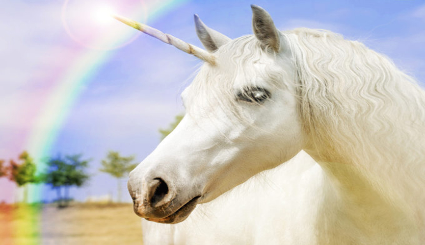 how to be a unicorn