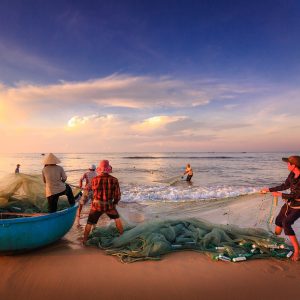 mesh by the sea