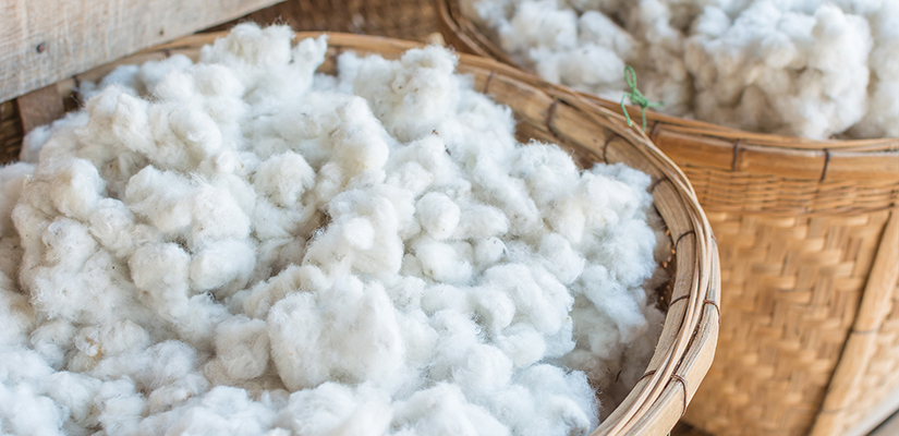 What is brushed cotton? Taking Cotton Fabric to the Next Level