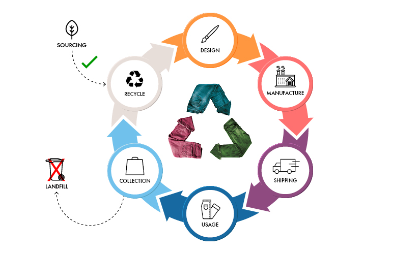 Life Cycle Of Clothes