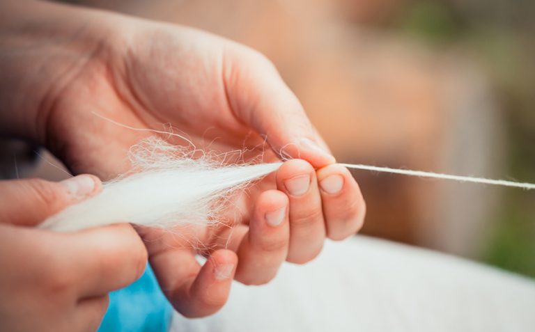 What is Egyptian Cotton? Everything You Need to Know