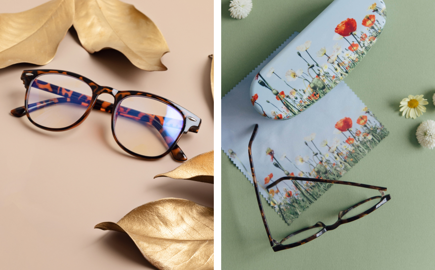 Eyeglasses and glasses case